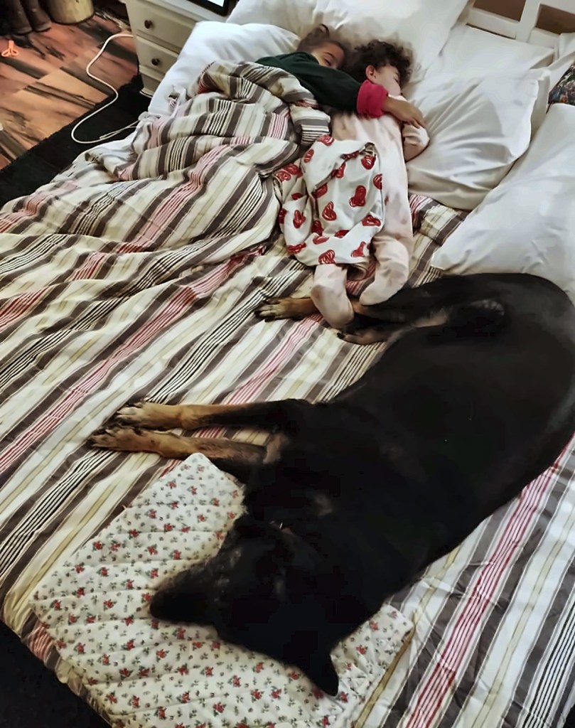 vhagar my dog with the girls